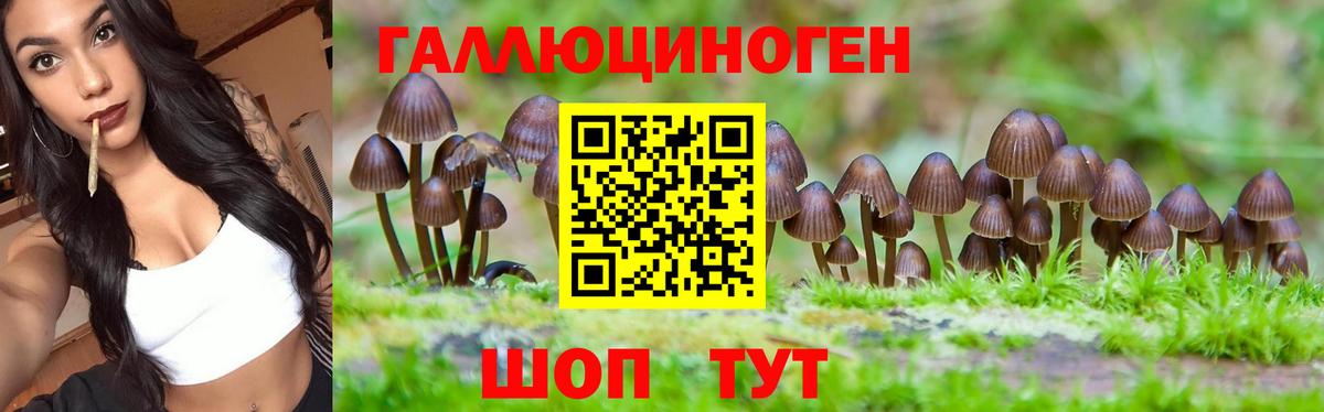 Галлюциногенные грибы Psilocybe  Вход с VPN  Рязань 
